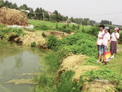 農村水污染環境現狀分析，如何有效果進行農村污水處理