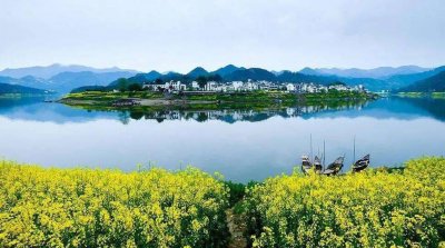 四川省生態環境保護督察組進駐成都市督察公告